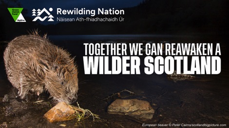Rewilding Nation campaign banner
